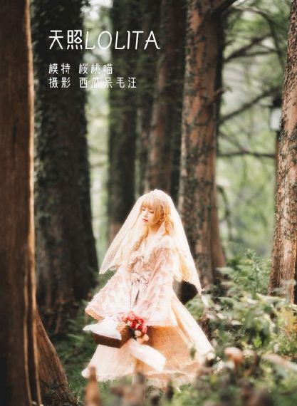 余罪第5季在线观看